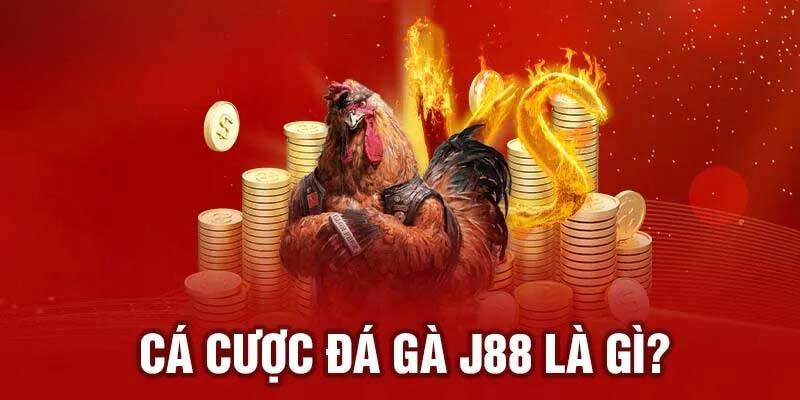 Đá gà J88 là gì?