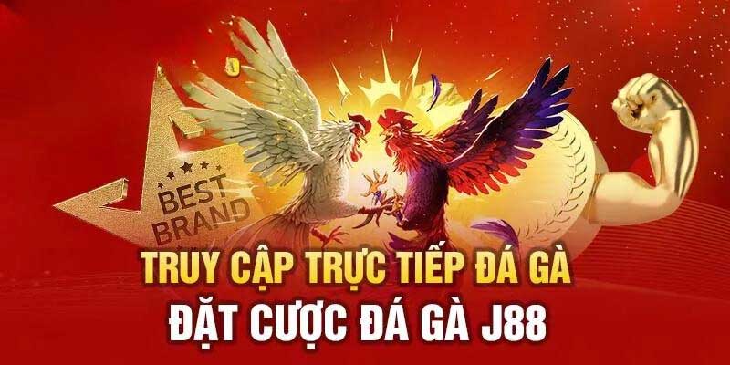 Tham gia đá gà J88