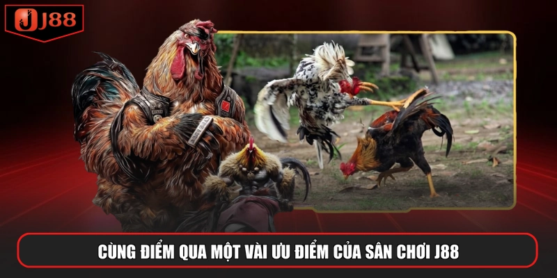 Cùng điểm qua một vài ưu điểm của sân chơi J88