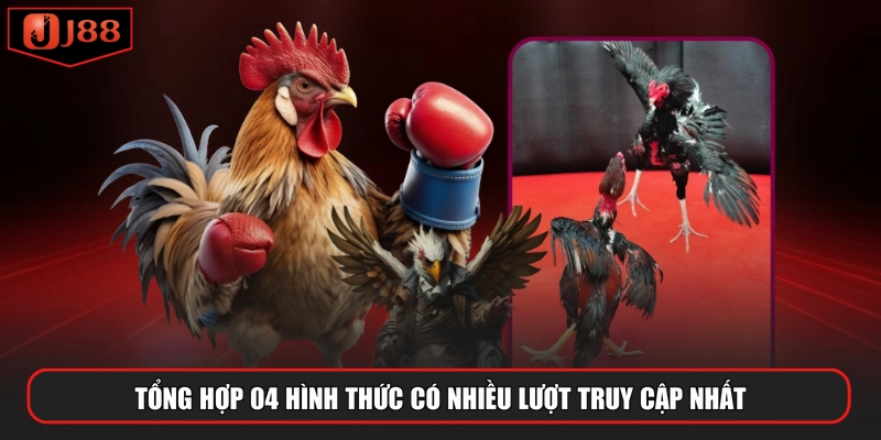 Tổng hợp 04 hình thức có nhiều lượt truy cập nhất
